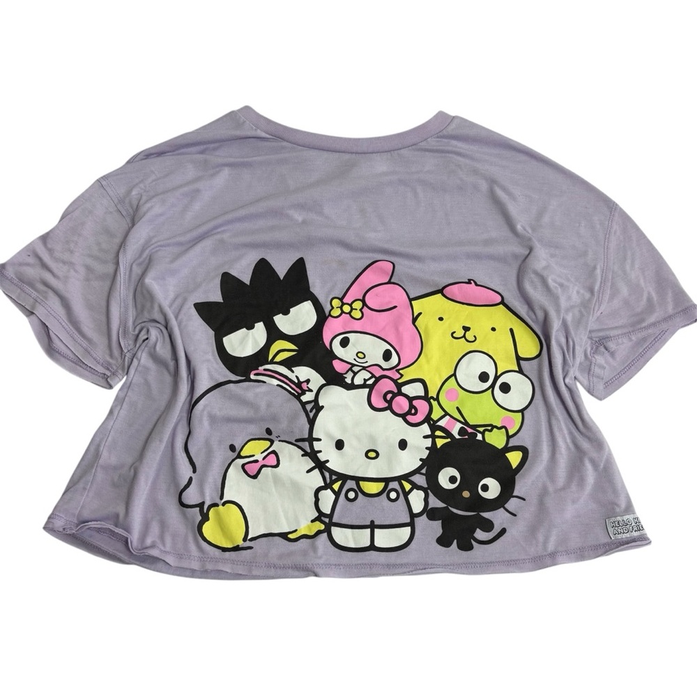 Hello kitty and friends by Sanrio graphic tee